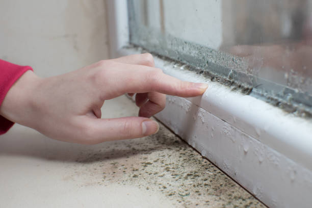 Best Forensic Mold Investigation  in Eunice, LA